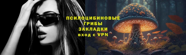 крисы Абаза