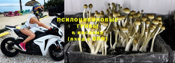 трава Алексин