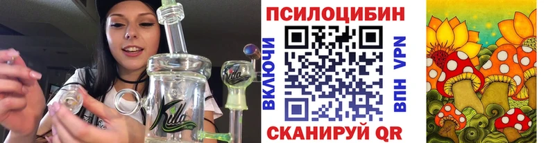 Галлюциногенные грибы Cubensis  МЕГА рабочий сайт  Казань 